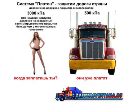 Модель из Иркутска разделась в знак протеста против системы «Платон»