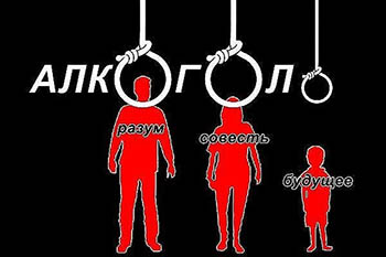 Небольшая доза алкоголя не вредит водителям, — ученые